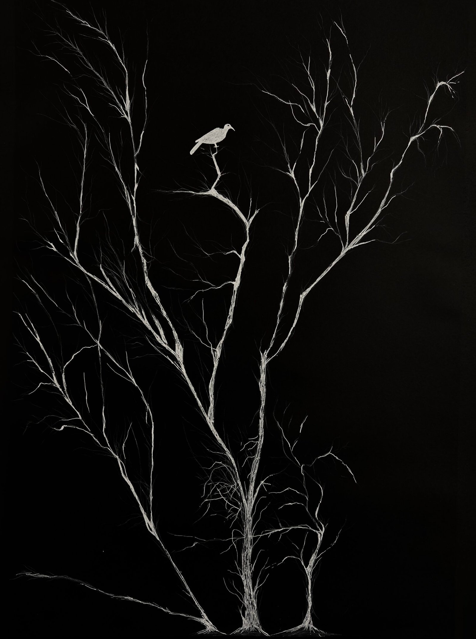 Originals Trees. Black background with fine white tree branches. The trees are bare, tall, and delicate. A lone bird rests silently on an upper branch. The sharp contrast adds a quiet strength. The scene feels still, calm, and thoughtful. Zerabavel