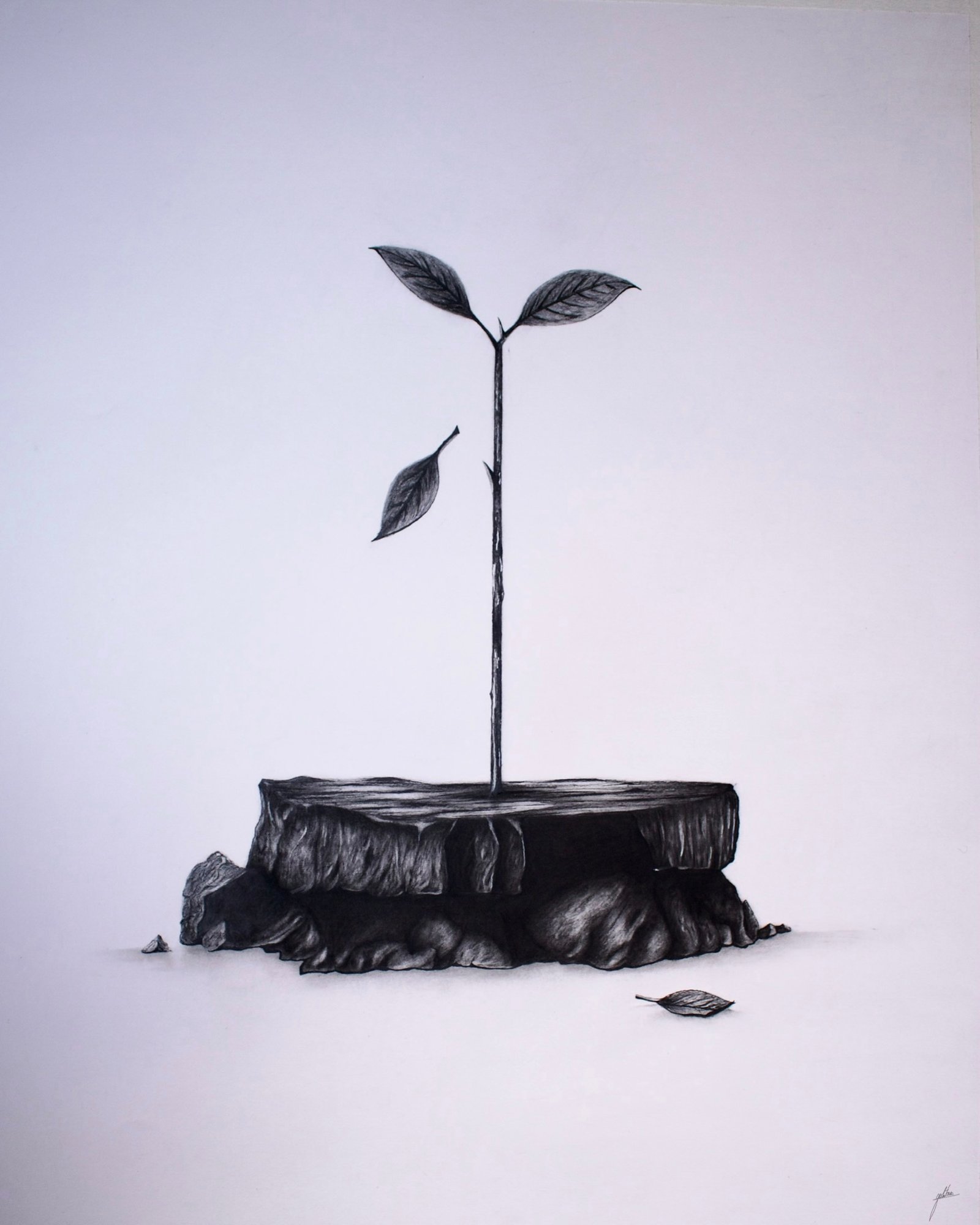 Originals Life doesn’t always begin in fertile ground; sometimes, it simply chooses to stand. This piece reflects the quiet resilience of life, even in the most barren places. Two leaves hold on, while others have drifted away.